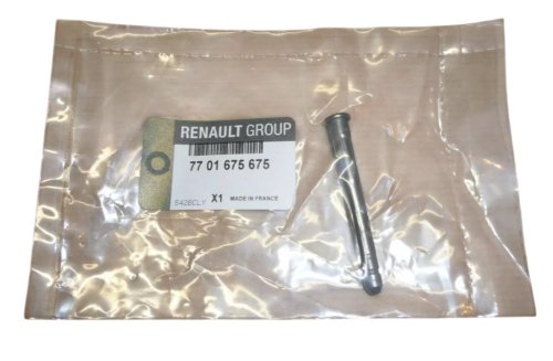 Dörrgångjärnsaxel 7701675675 Renault Clio II Megane Original Ny
