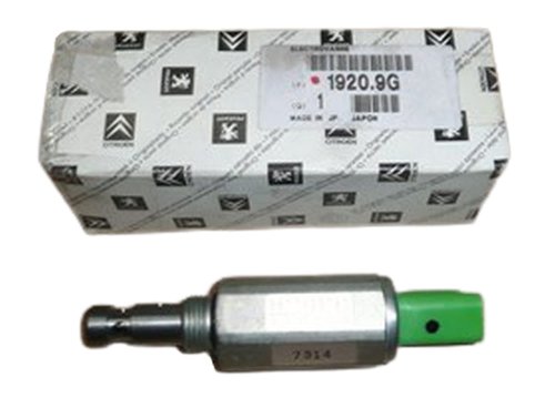 Ventil för variabel fasfördelning  Peugeot Citroen   2.2 9630499380