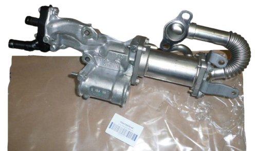 Avgasradiator 8200729079 Clio Scenic  1.5DCI Original