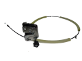 DSC01296-removebg-preview.png