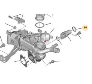 O-ring för EGR-ledning  1.6HDI 1606476880 Ny OE PSA