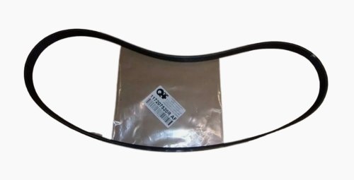 Kuggrem 6pk1152 OM Renault 117207520R