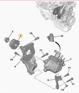 Kugghjul 1,4 1,6 E-HDI 193047 9683818280 Citroen Peugeot Ford Volvo