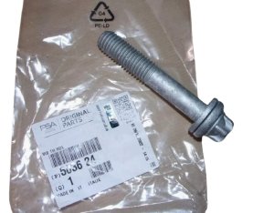 Stötdämparskruv 503624 Ny OE PSA Jumper 3