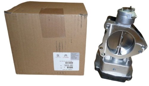 Spjäll Citroen  C5 Jumpy 1635X0 Peugeot 407