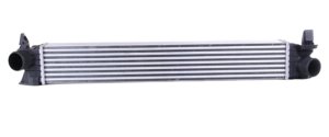 Luftkylare 1613994080 Citroen Jumper III 2.2HDI Original