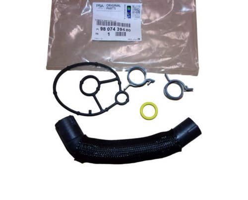 Oljefilterpackning 9807439480 Citroën Peugeot 2.0BLUEHDI Original