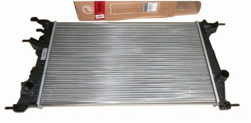 Vattenkylare 214105150R Renault Megane III 1.2TCE Original
