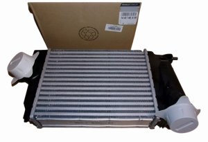Luftkylare 144614EA1B Renault Megane IV Original Ny