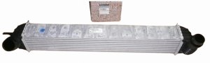Luftkylare 144610001N Renault Laguna III  Latitude 2.0DCI/1.5DCI  Original
