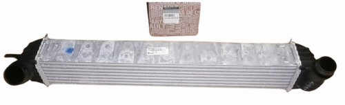 Luftkylare 144610001N Renault Laguna III  Latitude 2.0DCI/1.5DCI  Original