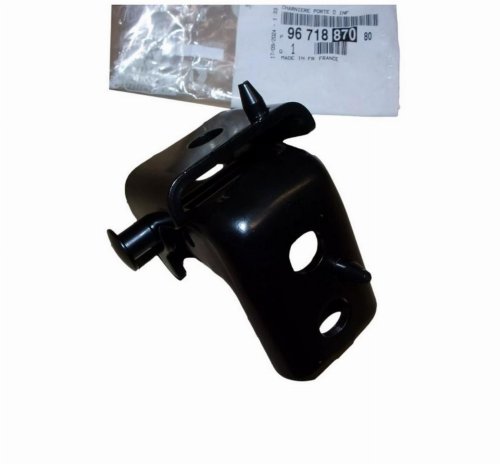 Dörrgångjärn 9671887080 Höger fram Citroen C3 III Original Ny