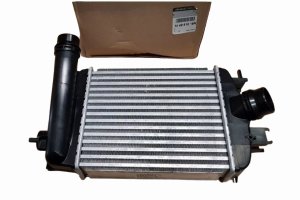 Luftkylare 144961019R Renault Clio V Original Ny