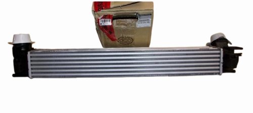 Luftkylare 144963639R Renault Megane III Original Ny