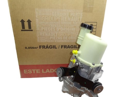 Servostyrningspump 491107773R Dacia