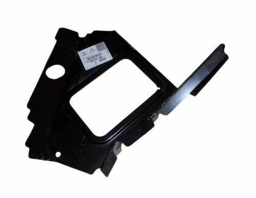 Fenderstöd 8534H8 8534.H8 Höger bak Citroen C4 III Original Ny
