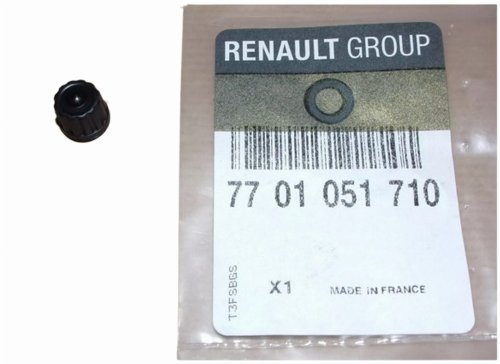 Kylsystemets avluftningsventil 7701051710 Renault Original Ny
