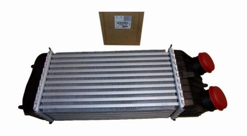 Luftkylare 0384.N1 0384N1 Citroen Peugeot 1.6HDI Original Ny