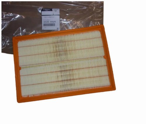 Luftfilter 1654600Q3E Renault Master III Original Ny