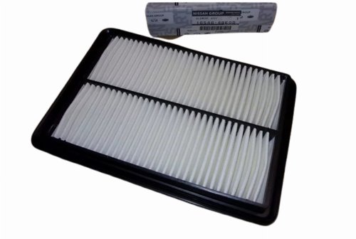 Luftfilter 165464BE0D Renault Koleos 2.0 DCI Original Ny