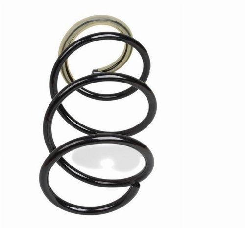 Fjädring 540105452R Fram Renault Fluence Original Ny