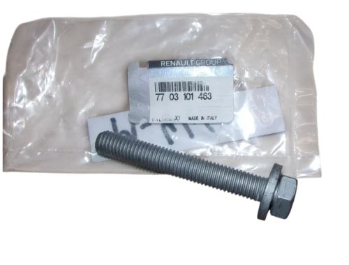 Motorkuddsskruv 7703101463 Renault M12x175 Original Ny