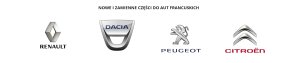 Turbo 144107877R Renault Trafic III 2.0 dCi Ny Original